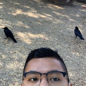 Meet your Posher, Andres